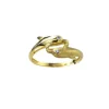 Gullring delfin