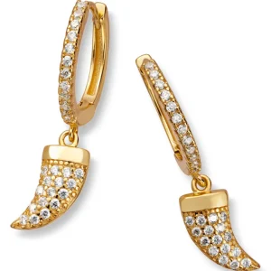 Øreringer charms