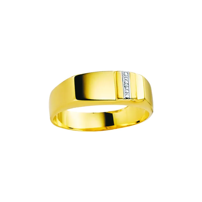 signetring_0-5.webp Signetring