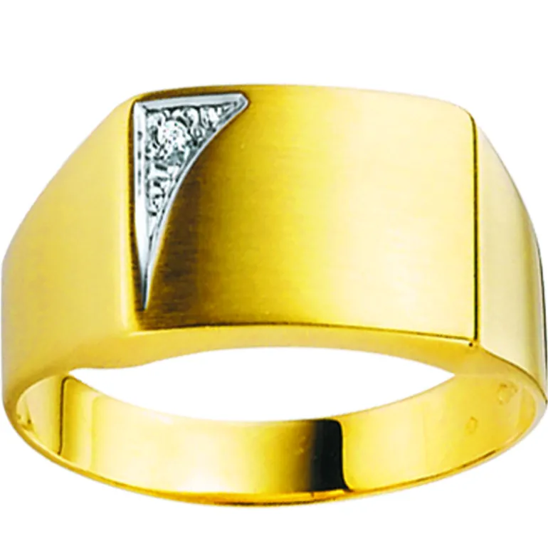 signetring_1-6.webp Signetring