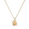 Stjernetegn gullbamse