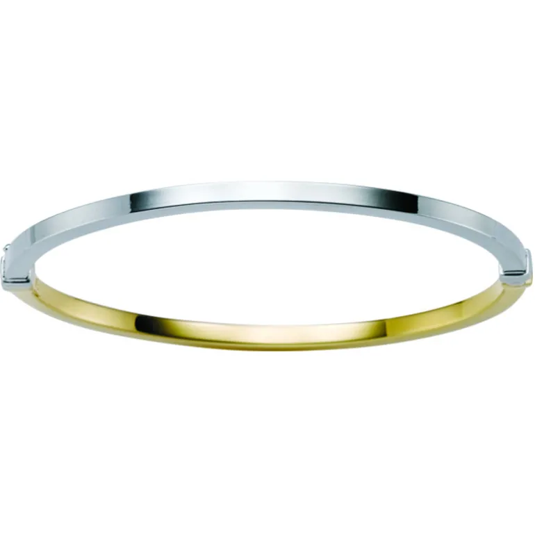 tofarget_armring_1.webp Tofarget armring